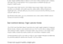 write well researched and SEO optimized blog posts and articles
